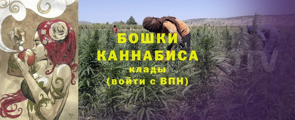 apvp Осинники