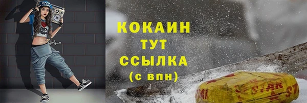 ГАЛЛЮЦИНОГЕННЫЕ ГРИБЫ Осташков