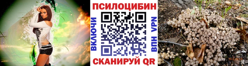 мега сайт  Сычёвка  Галлюциногенные грибы MAGIC MUSHROOMS 